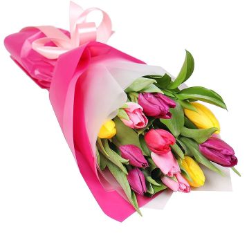Assorted Tulips Wrapped (12 Stems)