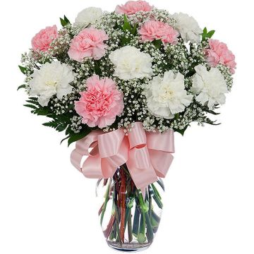 Carnation Bouquet 