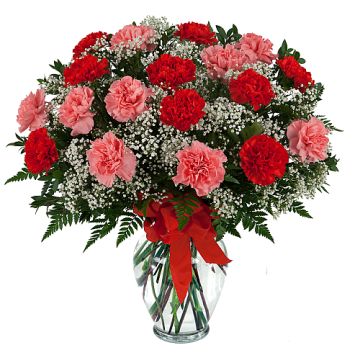 Carnation Lovers