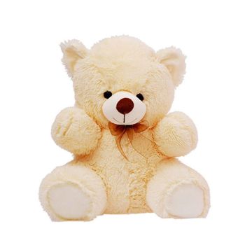 Cream Teddy Bear