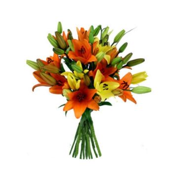 Lovely Lilies 