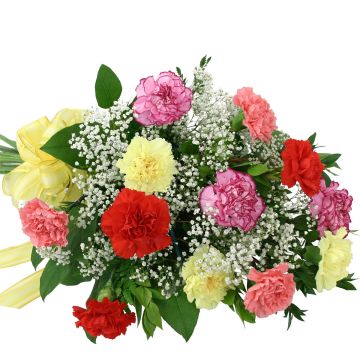 Mixed Carnations