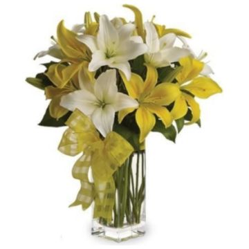 Pick a Lily 