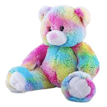 Rainbow Teddy
