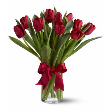 Red Tulips
