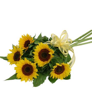 Sunflower Love