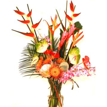Tropical Fiesta