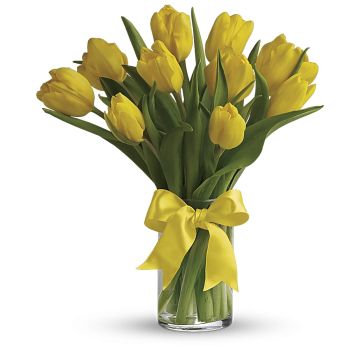 Yellow Tulips