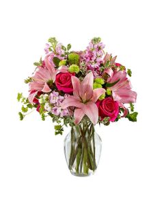 Posh Pinks