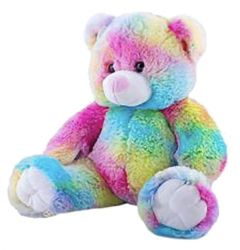 Rainbow Teddy